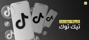 شركة إعلانات تيك توك